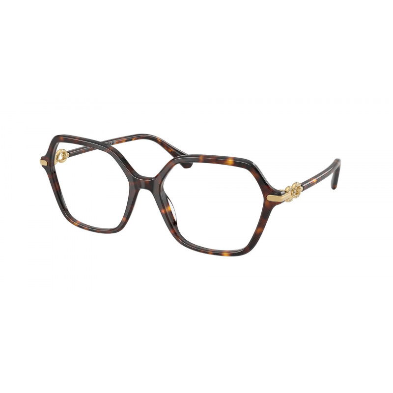 Eyeglasses Swarovski SK 2075 1002 Havana Demo Lens 54mm