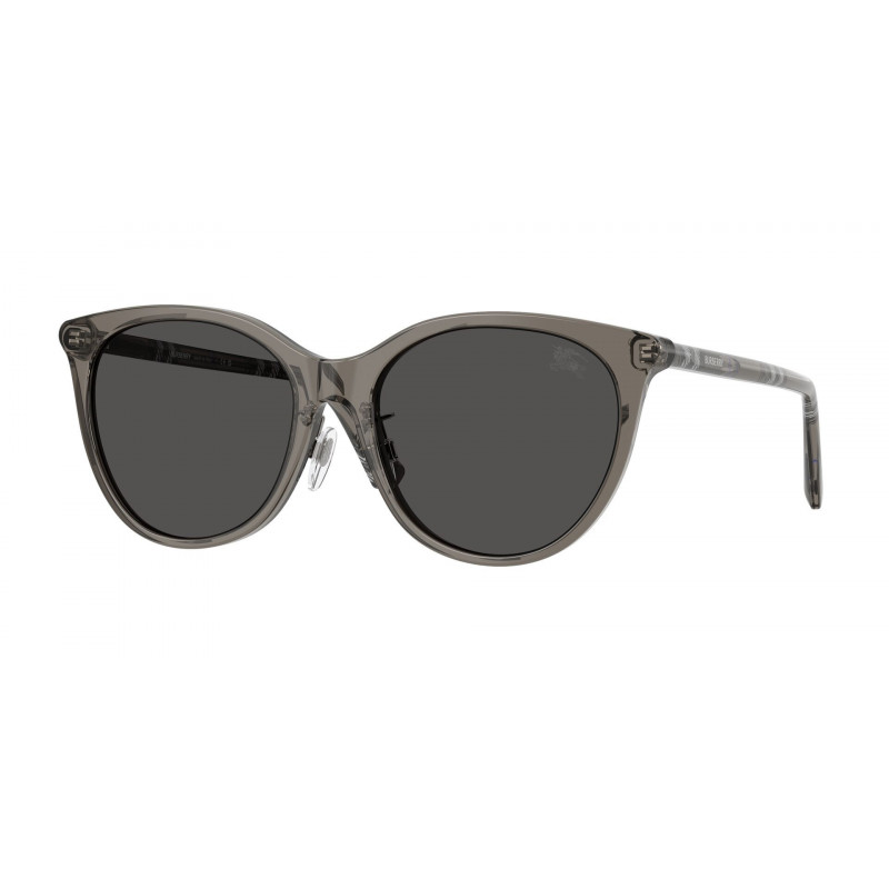 Sunglasses Burberry BE 4464 D 416087 Grey / Dark Polyamide Standard 56mm