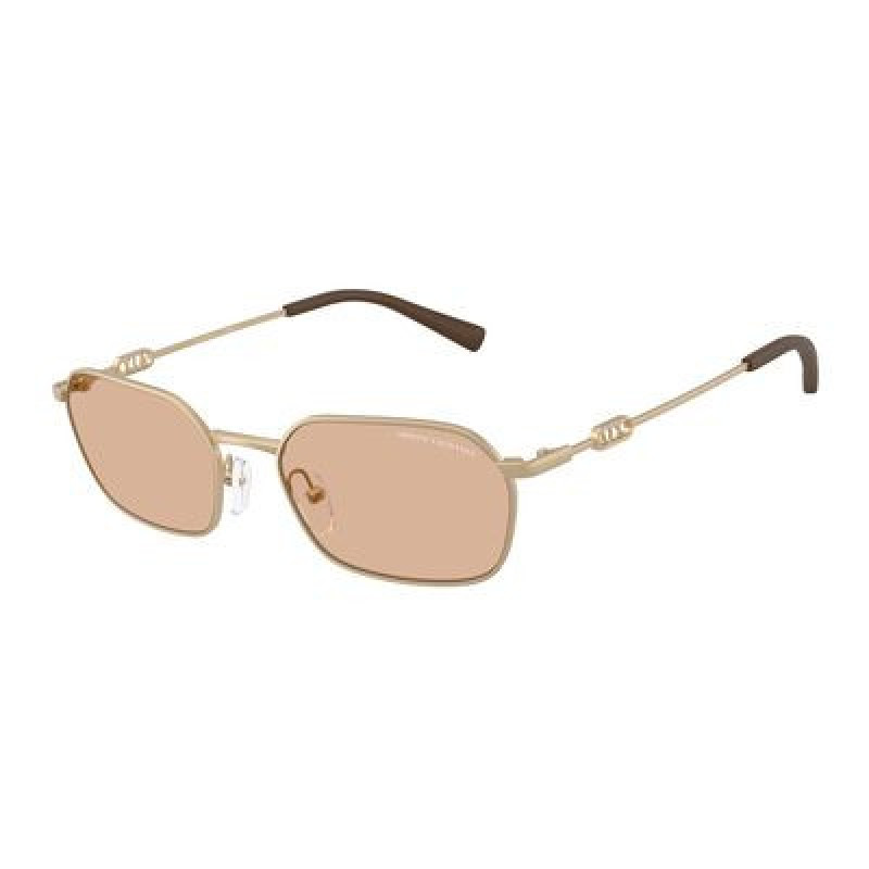 Sunglasses Armani Exchange AX 2056 S 612173 Matte Pale Gold / Brown Policarbonate Standard 54mm