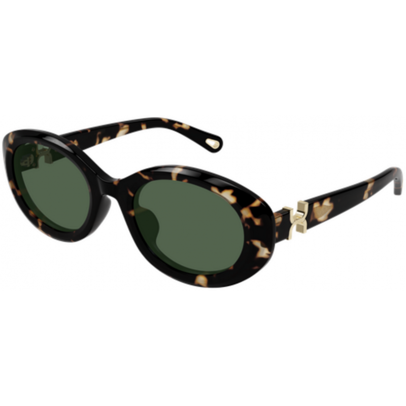 Sunglasses Chloé CH 0323 SK- 002 Havana / Green 54mm