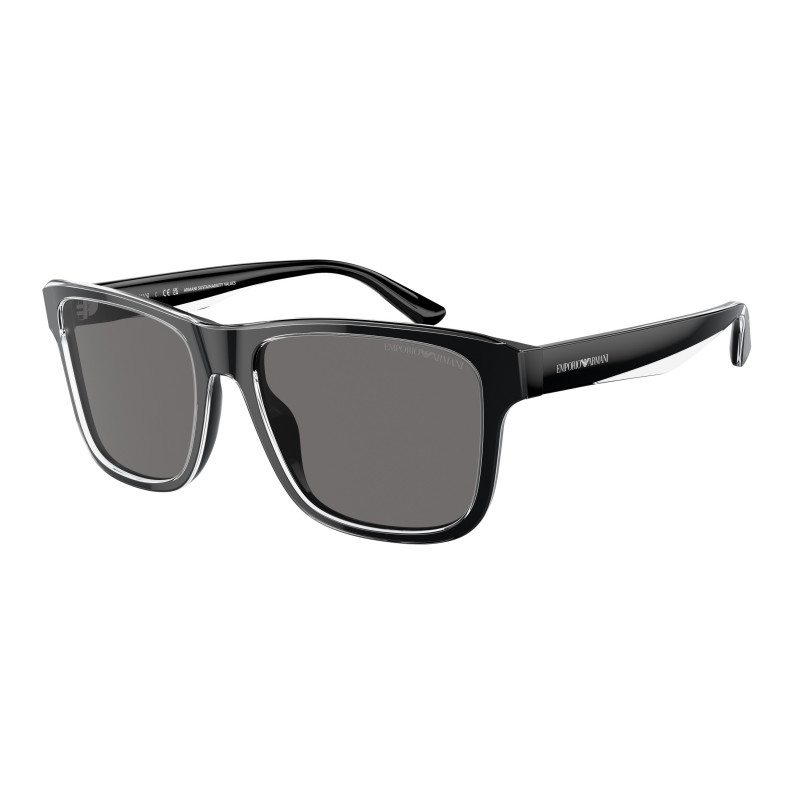 Sunglasses Emporio Armani EA 4208 605187 Shiny Black/Top Crystal Dark G