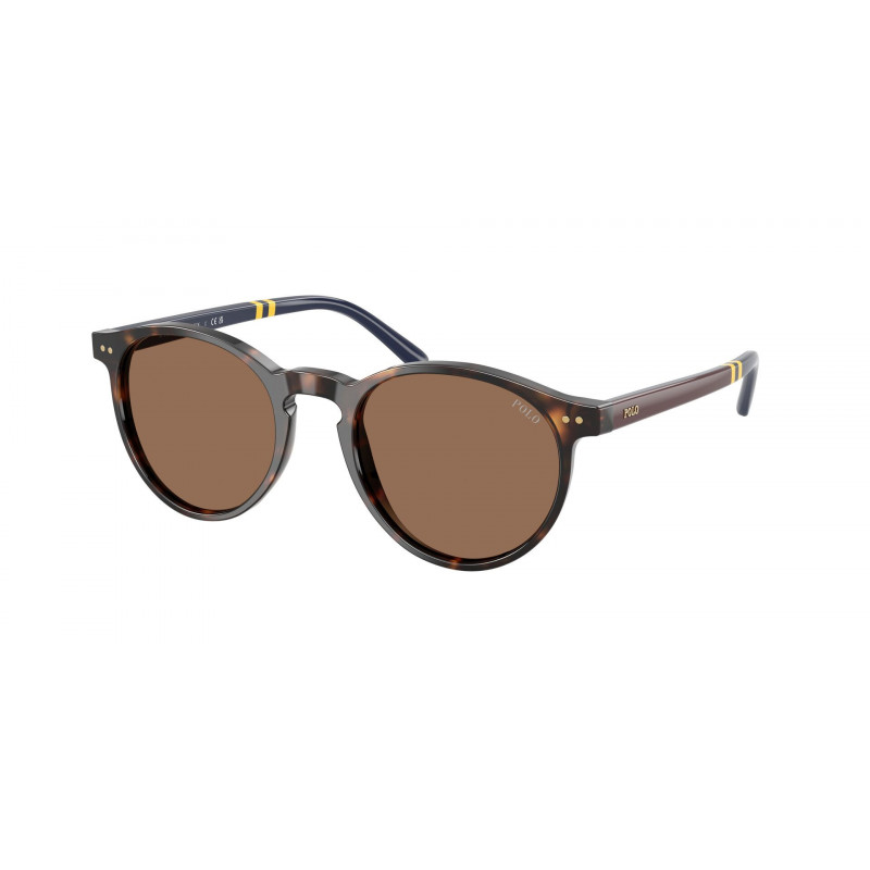 Sunglasses Polo PH 4236 500373 Shiny Dark Havana / Brown Polyamide Standard 50mm