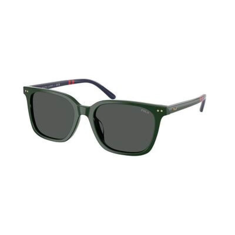 Sunglasses Polo PH 4235 U 614087 Shiny Green / Dark Grey Polyamide Standard 54mm