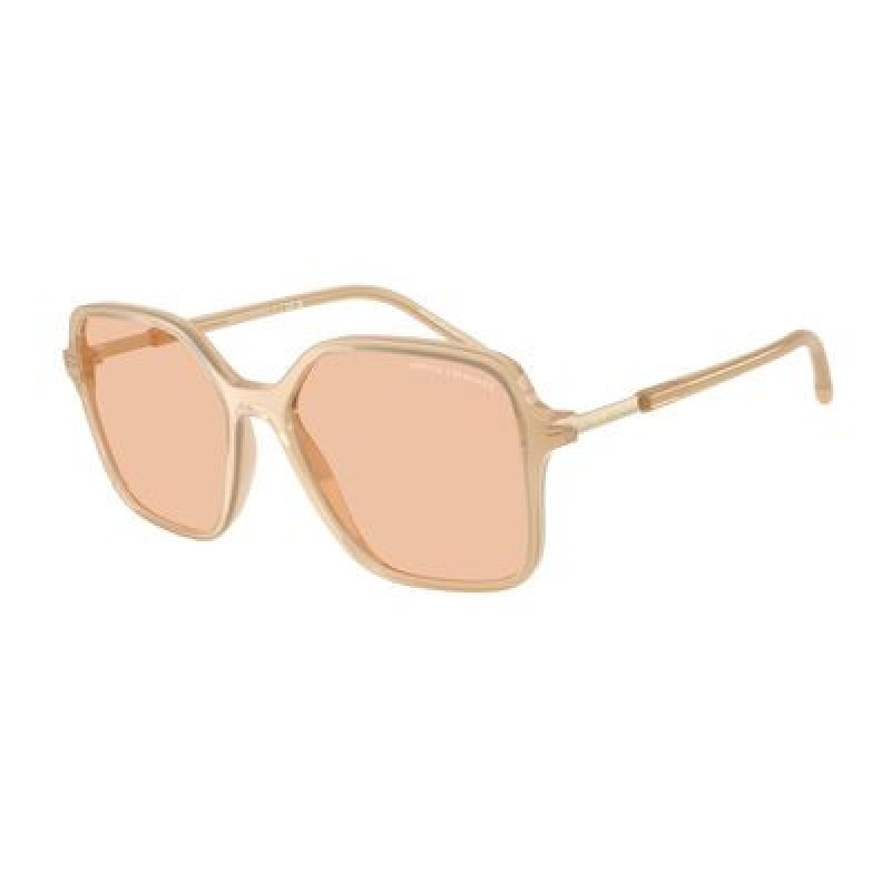 Sunglasses Armani Exchange AX 4163 S 836673 Shiny Opal Tundra / Light Brown Polyamide Standard 53mm