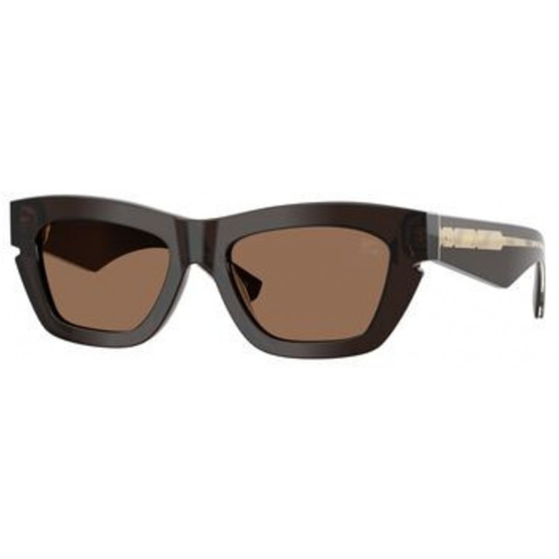 Sunglasses Burberry BE 4454 411673 Brown / Dark Polyamide Standard 52mm