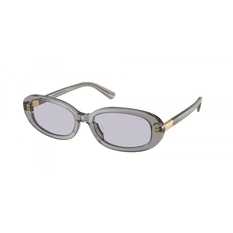 Sunglasses Polo PH 4198 U 63181A Shiny Transparent Dark Grey / Lilac Polyamide Standard 53mm
