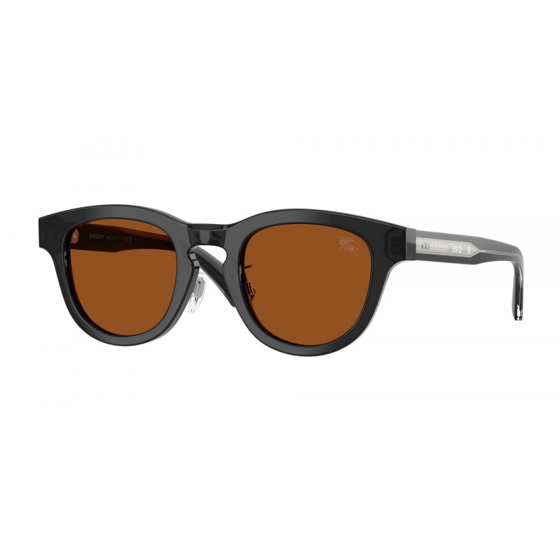 Sunglasses Burberry BE 4477 F 421173 Grey / Dark Brown Polyamide Standard 48mm