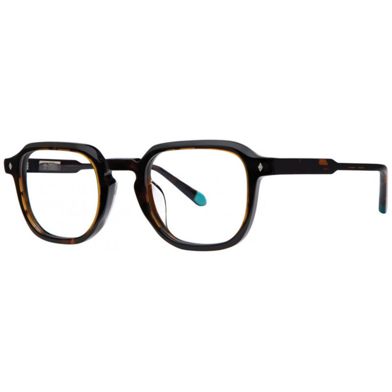 Eyeglasses Original Penguin The Wise-a Tortoise