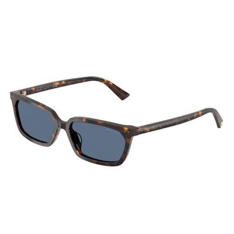 Sunglasses Jimmy Choo JC 5050 U 500280 Havana / Blue Polyamide Standard 55mm