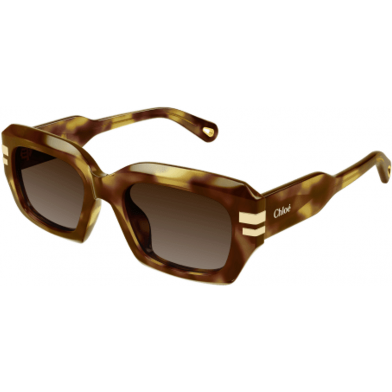 Sunglasses Chloé CH 0256 S- 002 Havana / Brown 53mm