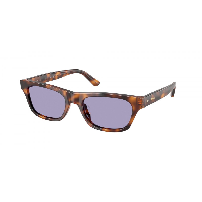 Sunglasses Polo PH 4238 U 63551A Shiny Brown Tortoise / Lilac Polyamide Standard 53mm