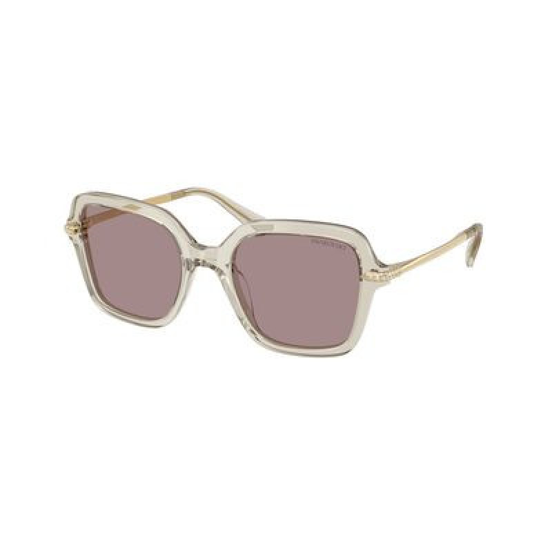 Sunglasses Swarovski SK 6040 3003LA Transparent Beige / Violet Polyamide Standard 50mm