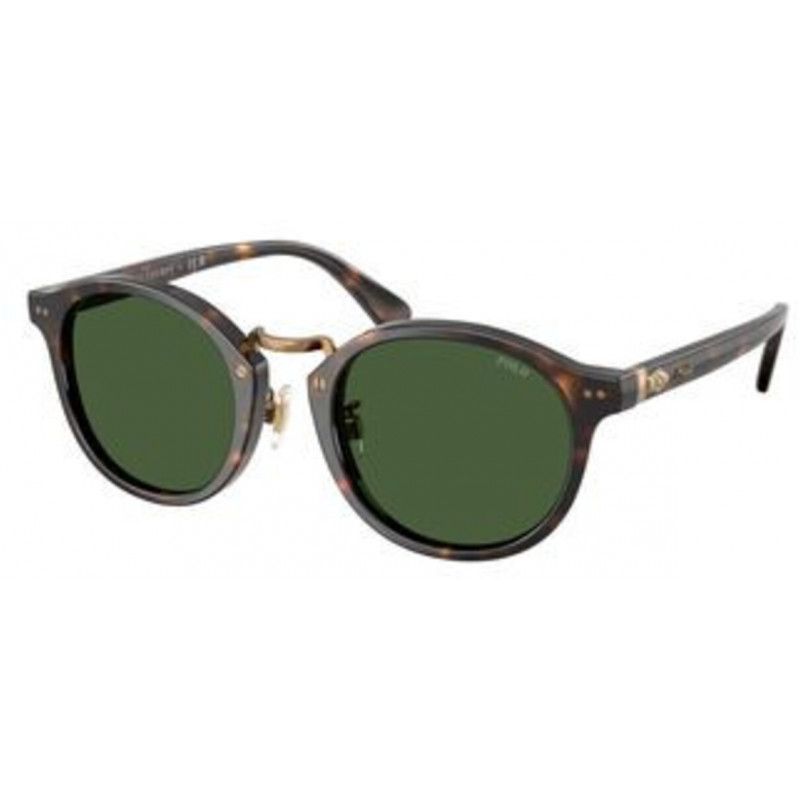 Sunglasses Polo PH 4230 500371 Shiny Dark Havana / Bottle Green Polyamide Standard 50mm