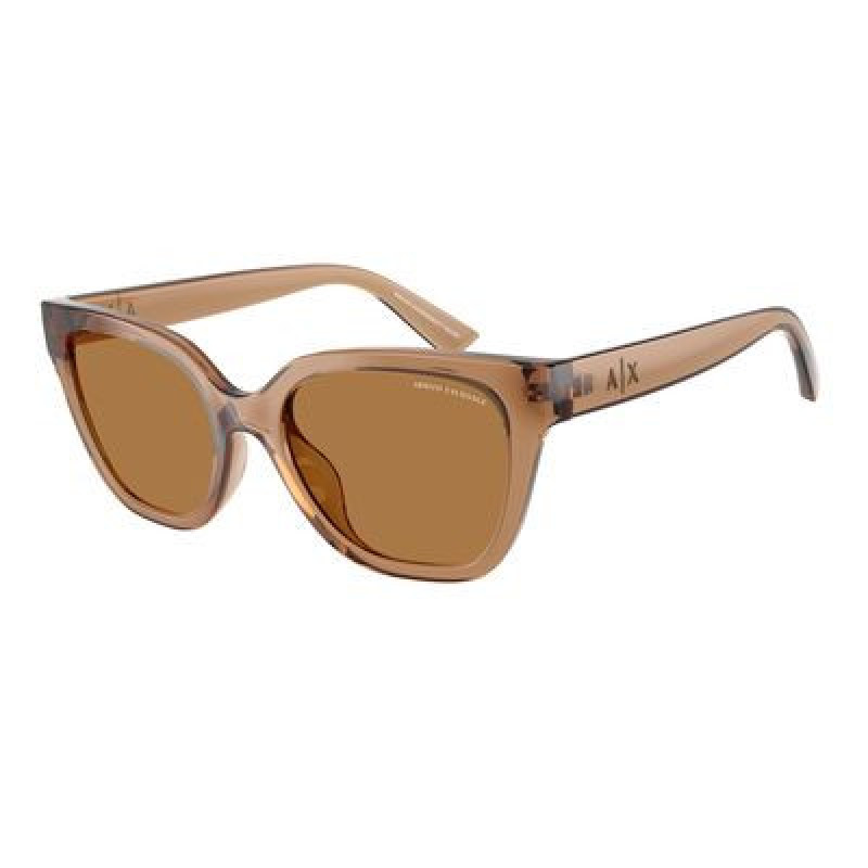 Sunglasses Armani Exchange AX 4164 SU 839673 Shiny Transparent Brown / Bronze Polyamide Standard 53mm