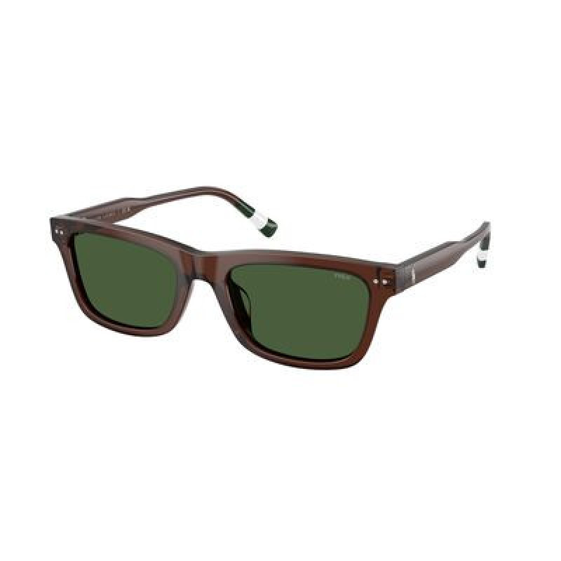 Sunglasses Polo PH 4240 U 631571 Shiny Transparent Brown / Dark Green Polyamide Standard 54mm