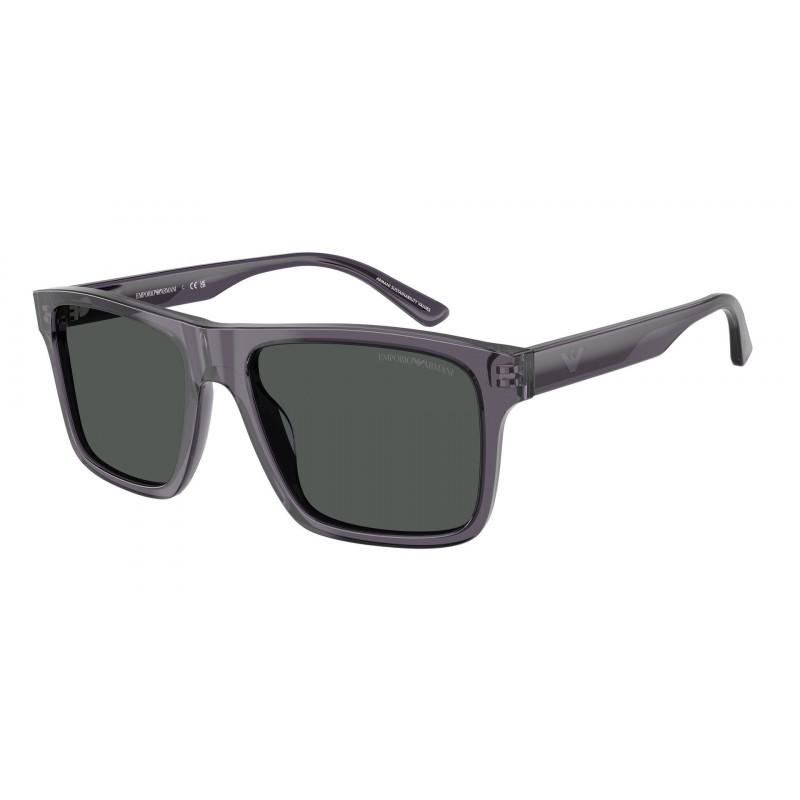 Sunglasses Emporio Armani EA 4232 F 610687 Transparent Dark Grey / Smoke Polyamide Standard
