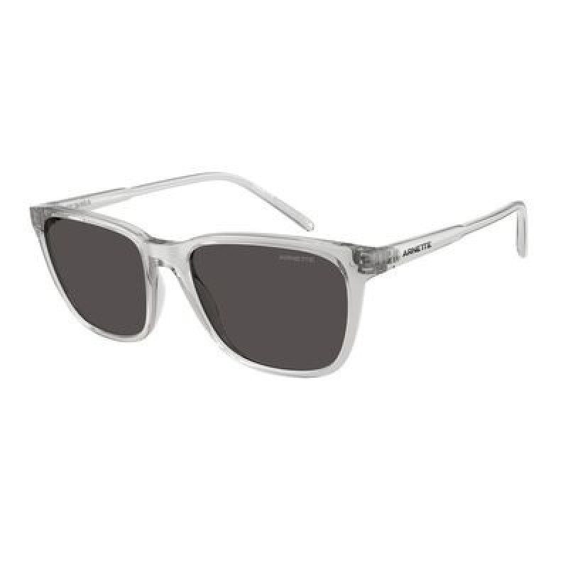 Sunglasses Arnette AN 4291 285887 Transparent Light Grey / Dark Policarbonate Standard 57mm