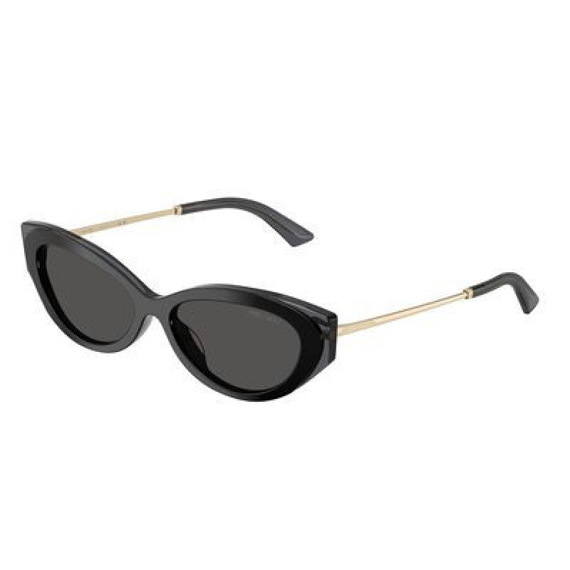 Sunglasses Jimmy Choo JC 5065 U 510387 Black/Transparent Grey / Dark Polyamide Standard 54mm