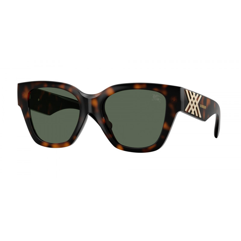 Sunglasses Burberry BE 4489 U 300271 Dark Havana / Green Polyamide Standard 53mm