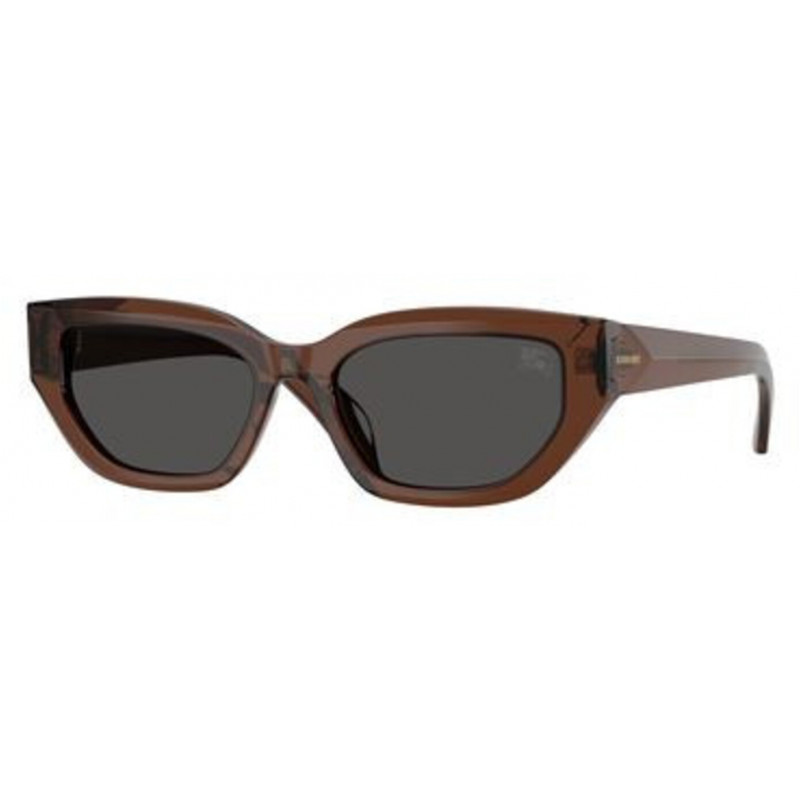 Sunglasses Burberry BE 4463 D 411687 Brown / Dark Grey Polyamide Standard 54mm