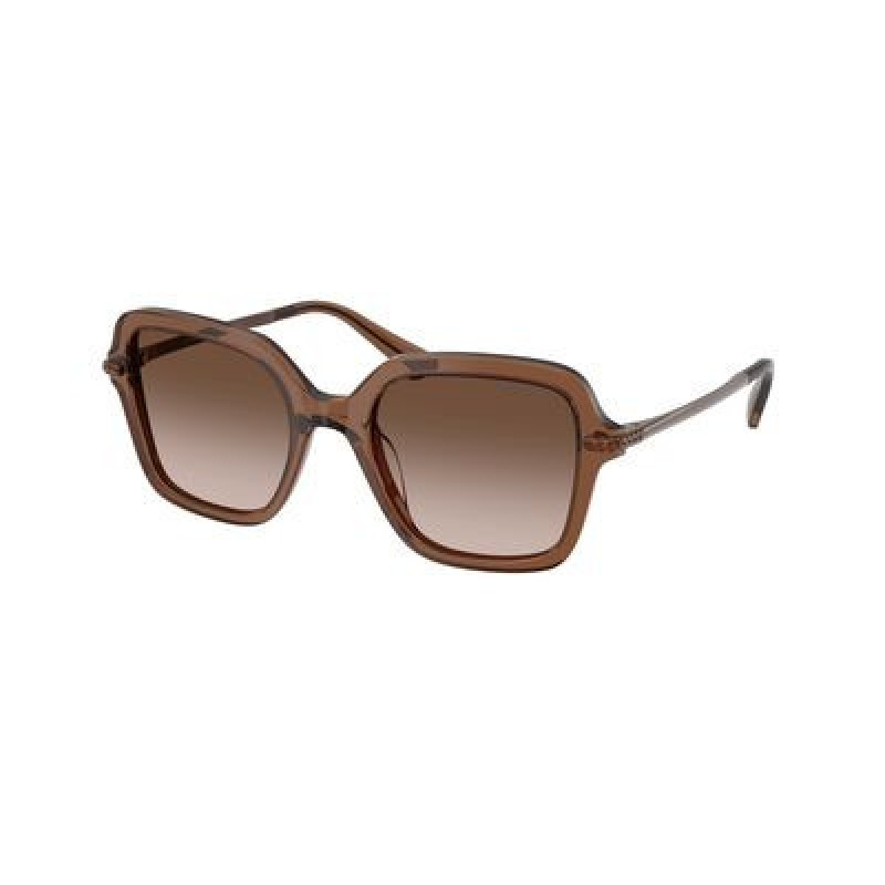 Sunglasses Swarovski SK 6040 106713 Transparent Brown / Gradient Polyamide Standard 50mm