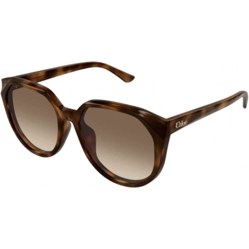 Sunglasses Chloé CH 0291 SK- 003 Havana / Brown 58mm