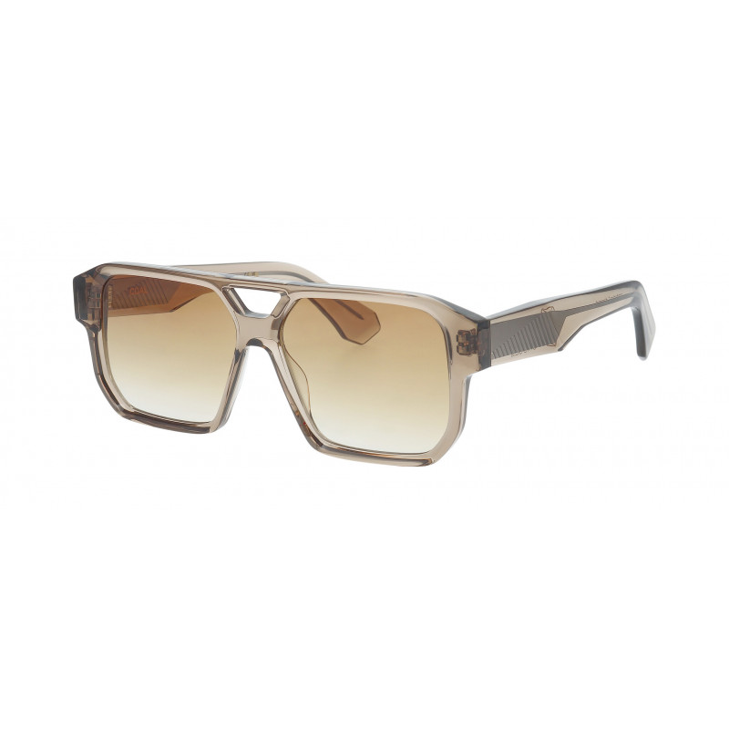 Sunglasses Pro-design Denmark COAL 6425 Grey-brown Medium Transparent