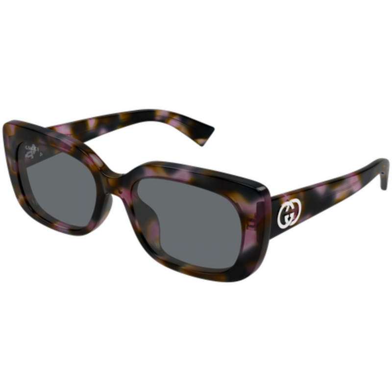 Sunglasses Gucci GG 1979 SK- 003 Havana / Grey 55mm