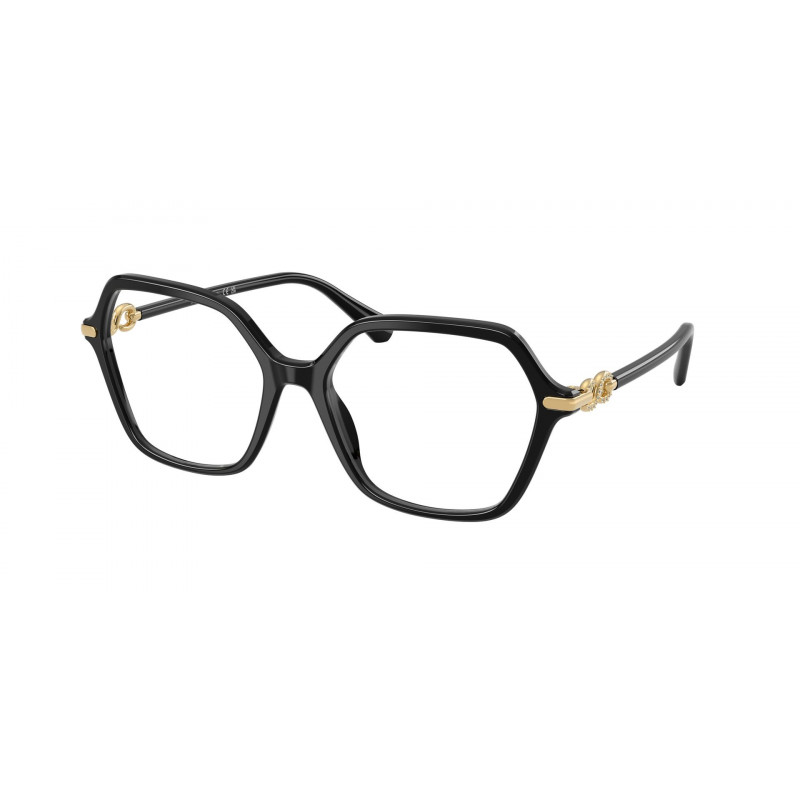 Eyeglasses Swarovski SK 2075 1001 Black Demo Lens 54mm