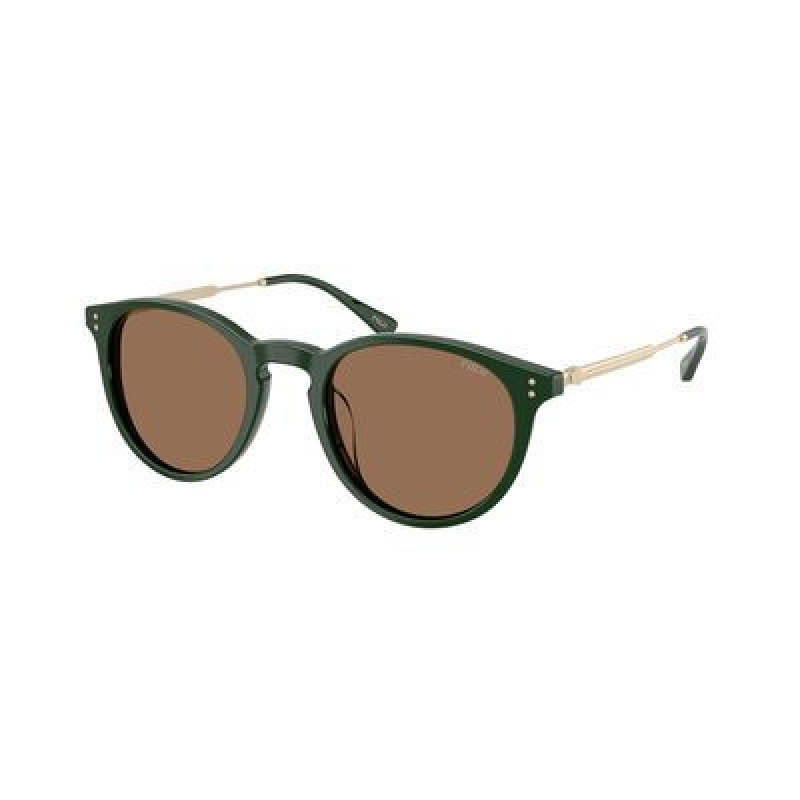 Sunglasses Polo PH 4239 U 614073 Solid Green / Dark Brown Polyamide Standard 50mm