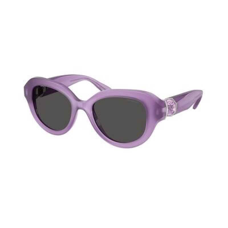 Sunglasses Swarovski SK 6037 107587 Milky Lilac / Dark Grey Polyamide Standard 50mm