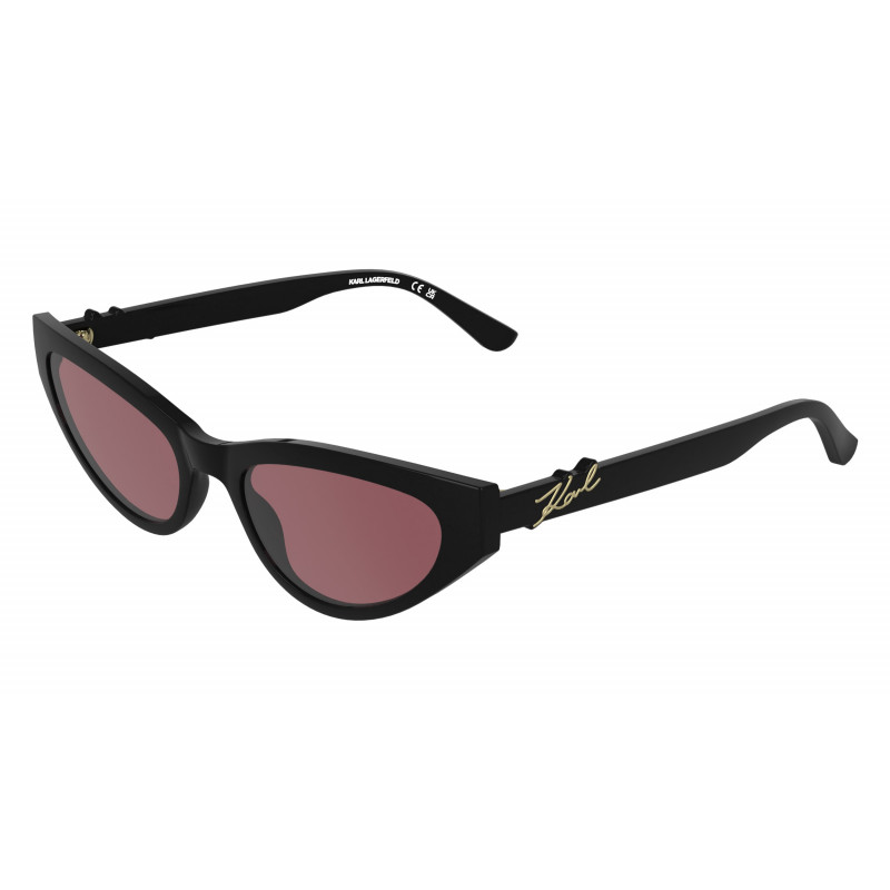 Sunglasses KARL LAGERFELD KL 6248 S 001 Black 54mm