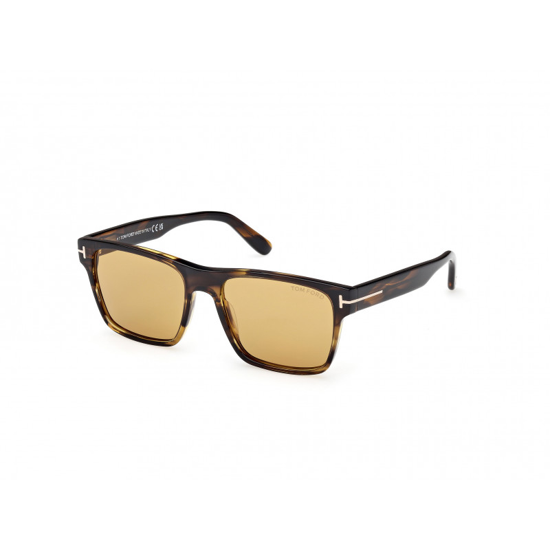 Sunglasses Tom Ford FT 1205 56E Coloured Havana / 55mm