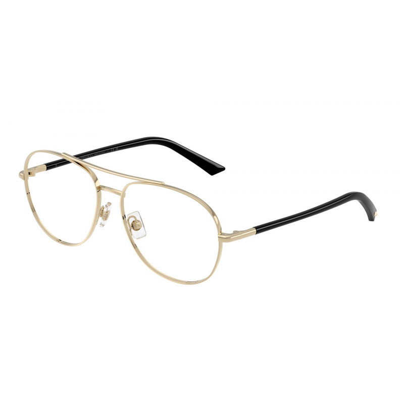Eyeglasses Jimmy Choo JC 2021 3006 Pale Gold Demo Lens 54mm