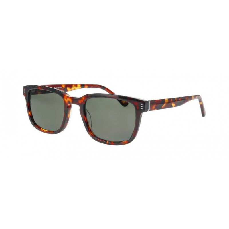 Sunglasses Pro-design Denmark HAZE 1 S 5522 Brown / Nosepads 53mm