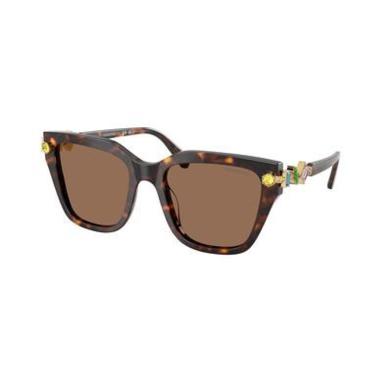 Sunglasses Swarovski SK 6041 100273 Havana / Dark Brown Polyamide Standard 53mm
