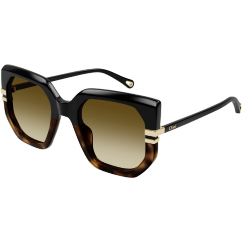 Sunglasses Chloé CH 0240 S- 003 Black / Brown