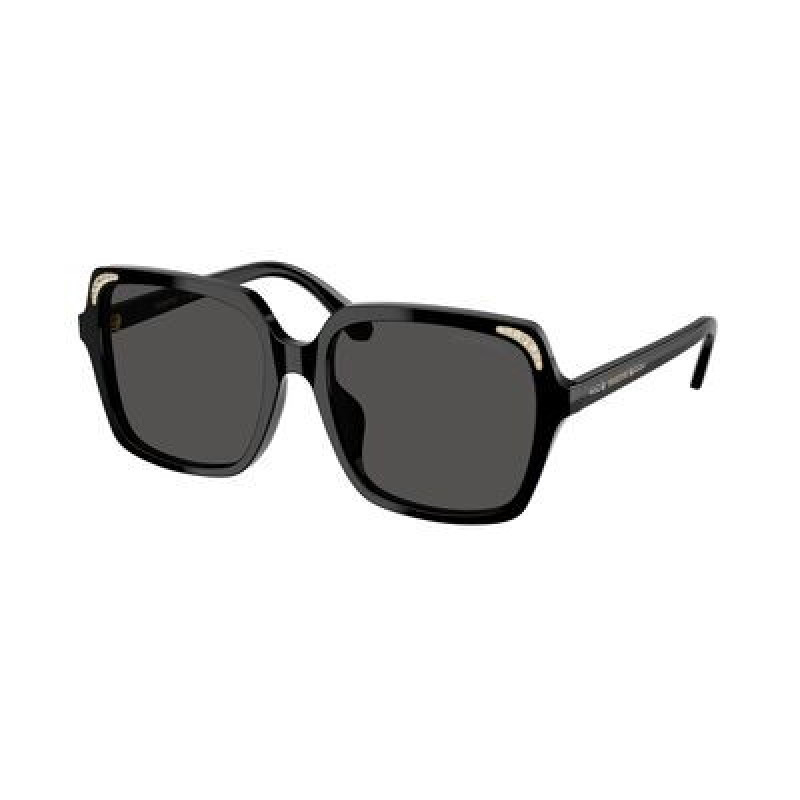 Sunglasses Swarovski SK 6034 D 100187 Black / Dark Grey Polyamide Standard 56mm