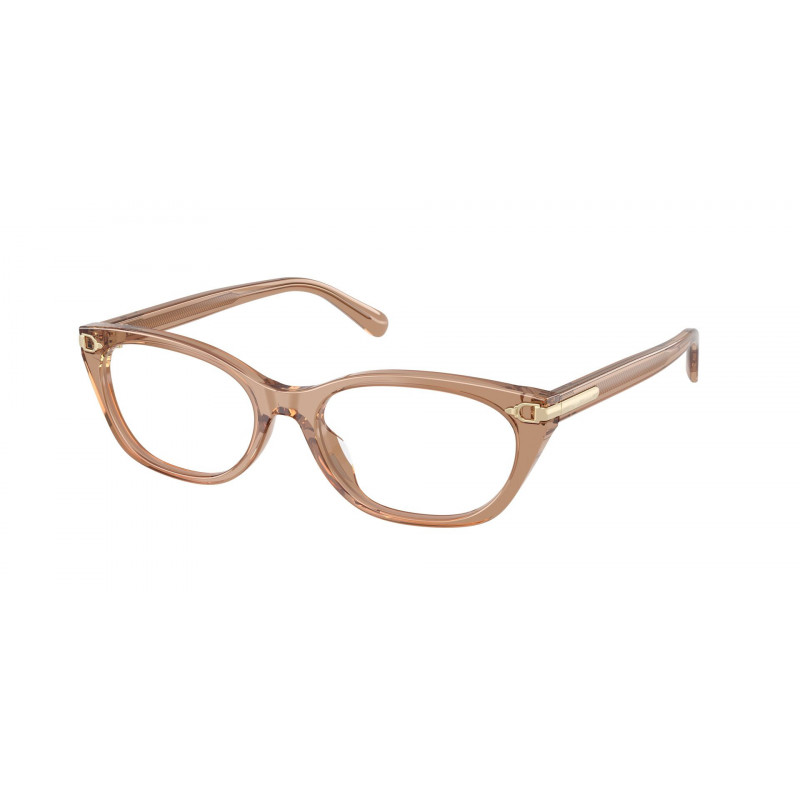 Eyeglasses Ralph Lauren RL 6268 U 6377 Transparent Dusty Brown / Demo Lens 53mm