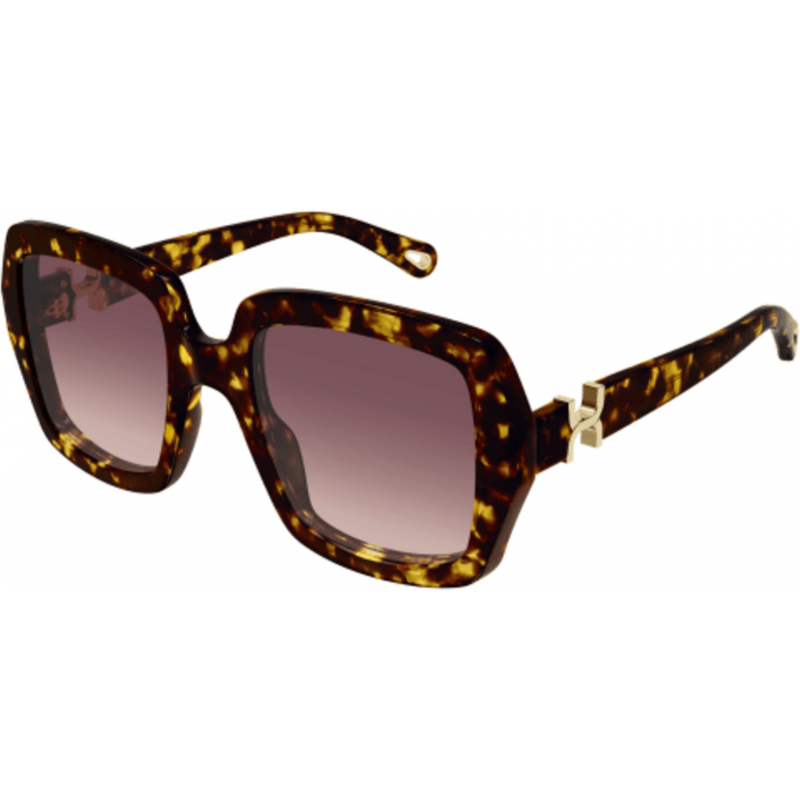 Sunglasses Chloé CH 0301 S- 002 Havana / Red 52mm