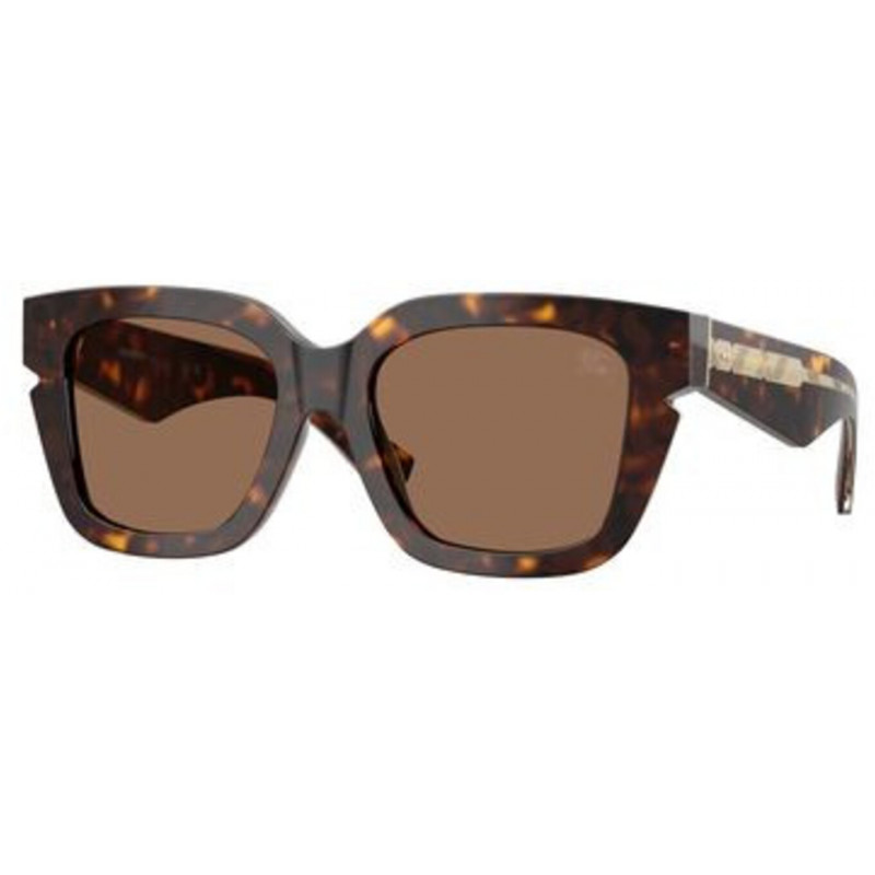 Sunglasses Burberry BE 4453 300273 Dark Havana / Brown Polyamide Standard 54mm