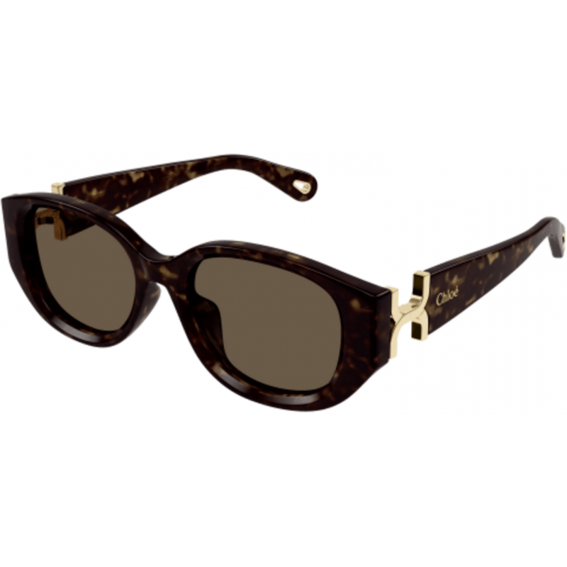 Sunglasses Chloé CH 0237 SK- 002 Havana / Brown 54mm