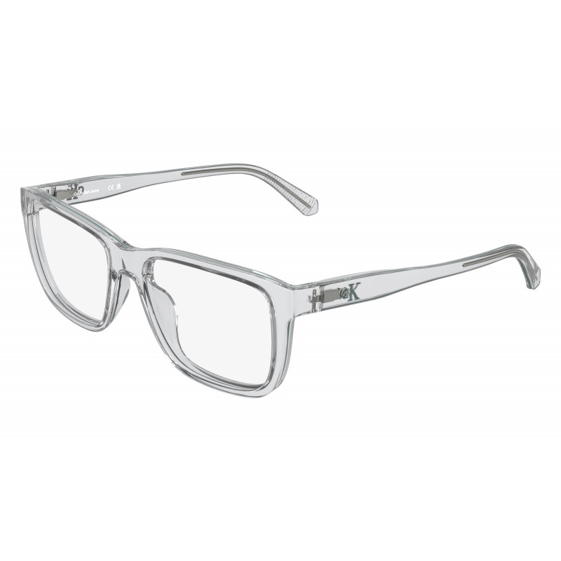 Eyeglasses CALVIN KLEIN JEANS CKJ 26631 050 Transparent Grey 55mm