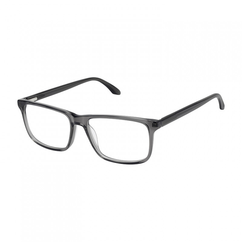 Eyeglasses Aristar 18667 Gray 505