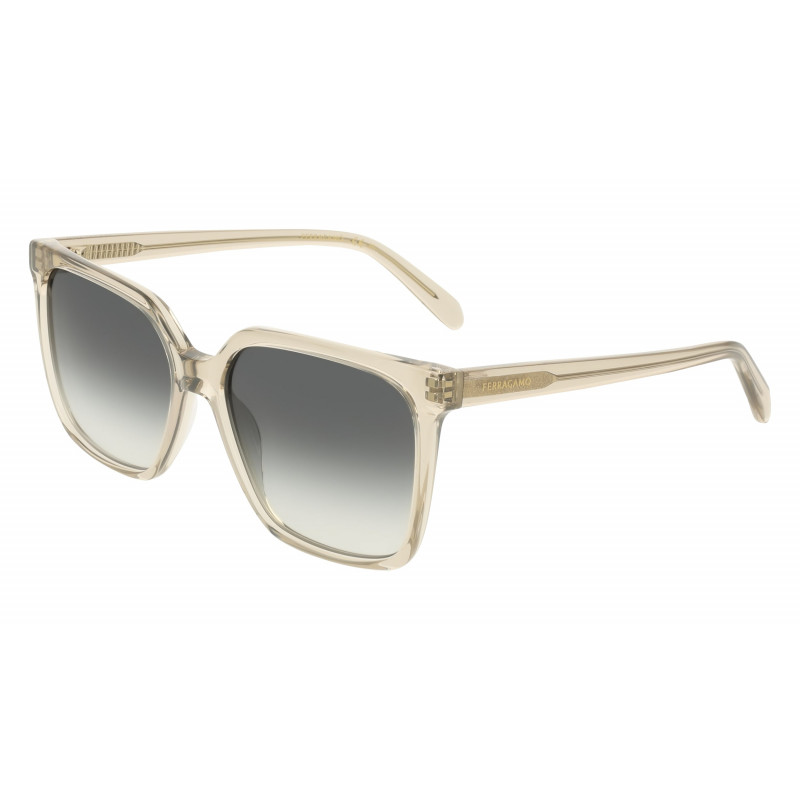 Sunglasses FERRAGAMO SF 2102 S 313 Transparent Sage 57mm