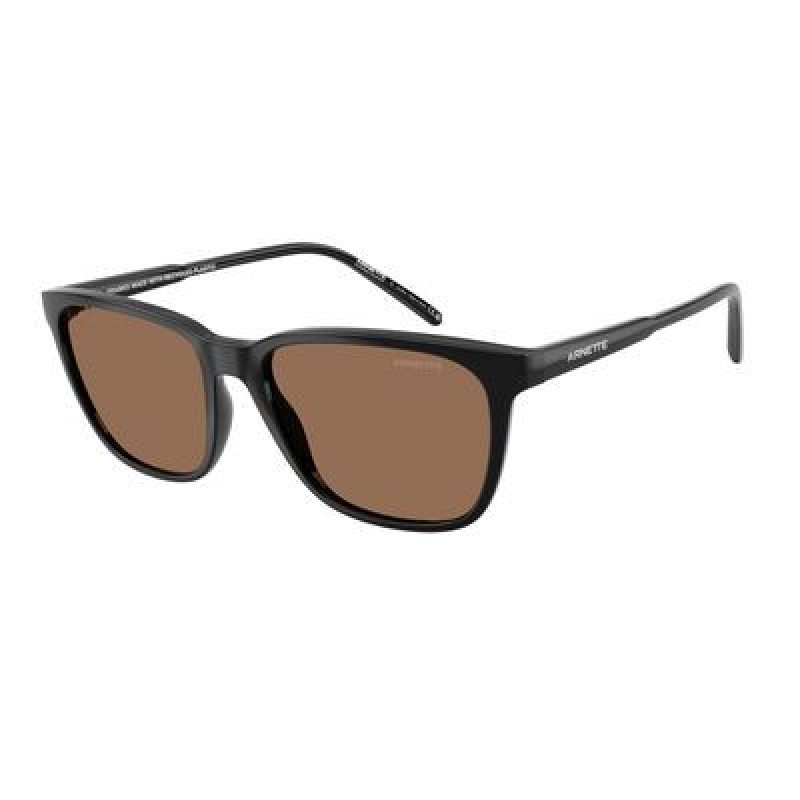 Sunglasses Arnette AN 4291 290073 Black / Dark Brown Policarbonate Standard 57mm
