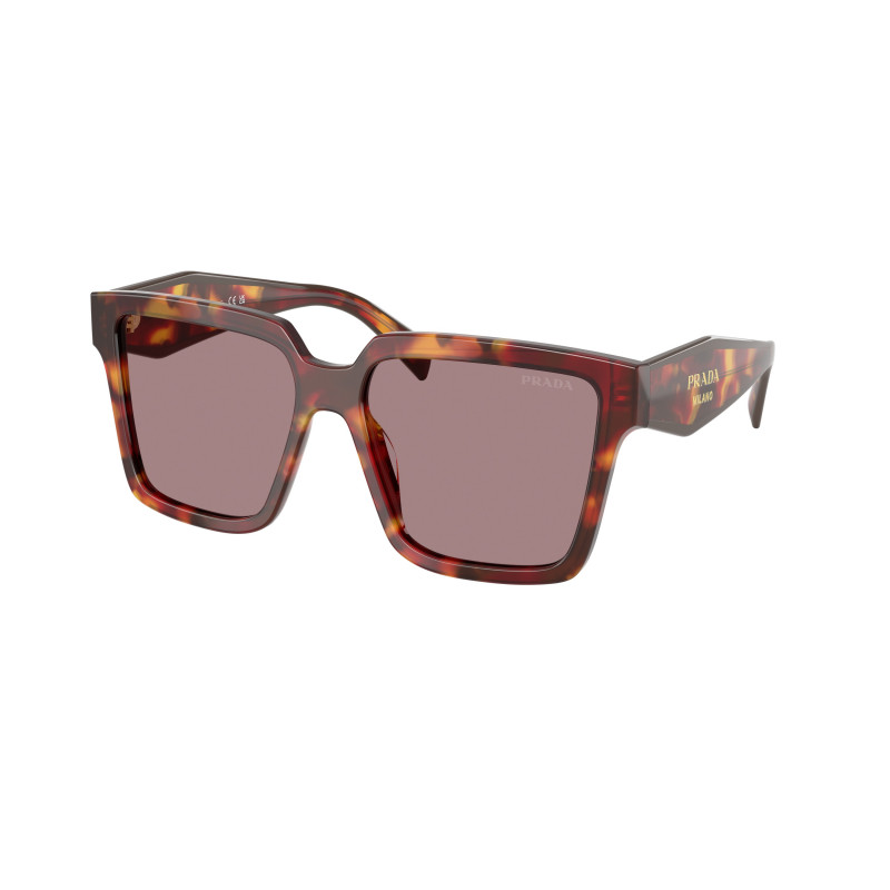 Sunglasses Prada PR 24 ZSF 22A20I Poppy Tortoise / Light Purple Brown Polyamide Standard