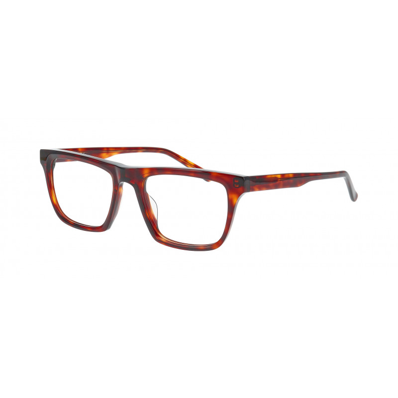 Eyeglasses Nifties NI 9552 5434 Tortoise Dark Demi 49mm