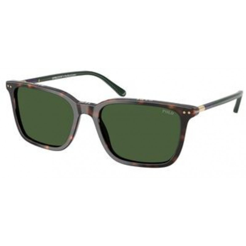 Sunglasses Polo PH 4226 567371 Shiny Dark Havana / Bottle Green Polyamide Standard 56mm