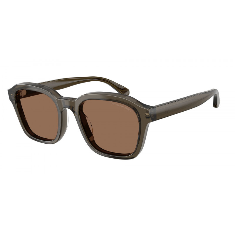 Sunglasses Emporio Armani EA 4245 U 624973 Shiny Transparent Grey / Dark Brown Polyamide Standard